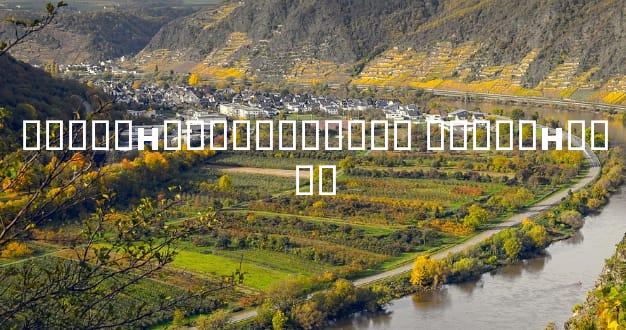 �����н�ɽ��ɽ������ �����н�ɽ��